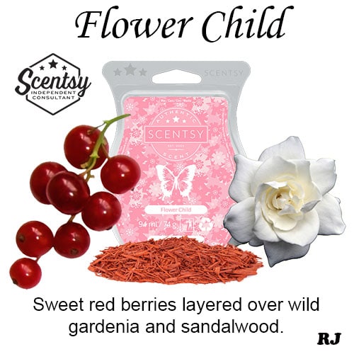 flower child scentsy wax melt