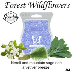 forest wildflowers scentsy wax melt