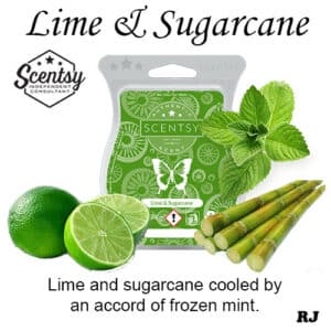 lime and sugarcane scentsy wax melt