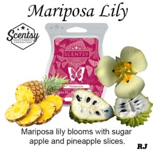 mariposa lily scentsy wax melt