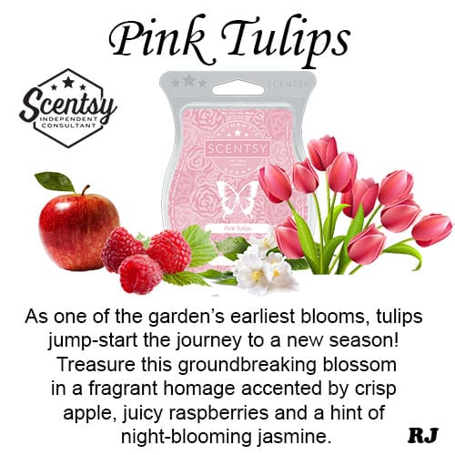 Scentsy pink tulips wax melt