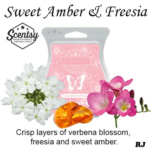 sweet amber and freesia scentsy wax melt