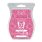 Rugosa Rose Scentsy Bar