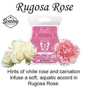 Rugosa Rose Scentsy Bar Styled