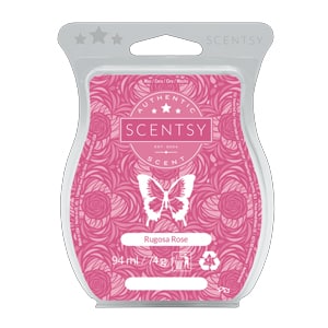 Rugosa Rose Scentsy Bar