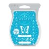 Blue Grotto Scentsy Wax Bar