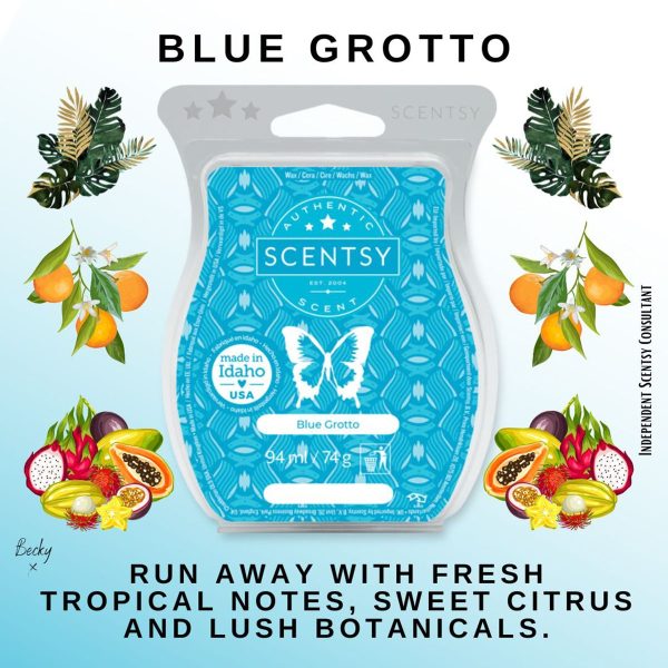 Blue Grotto Scentsy Bar