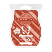 Apple & Cinnamon Sticks Scentsy Wax Bar Melt