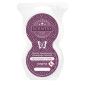 Black Raspberry Vanilla Pod Twin Pack