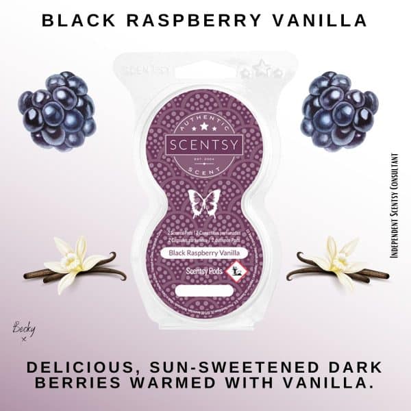 Black Raspberry Vanilla Pod Twin Pack