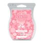 Bubblegum Blast Scentsy Bar