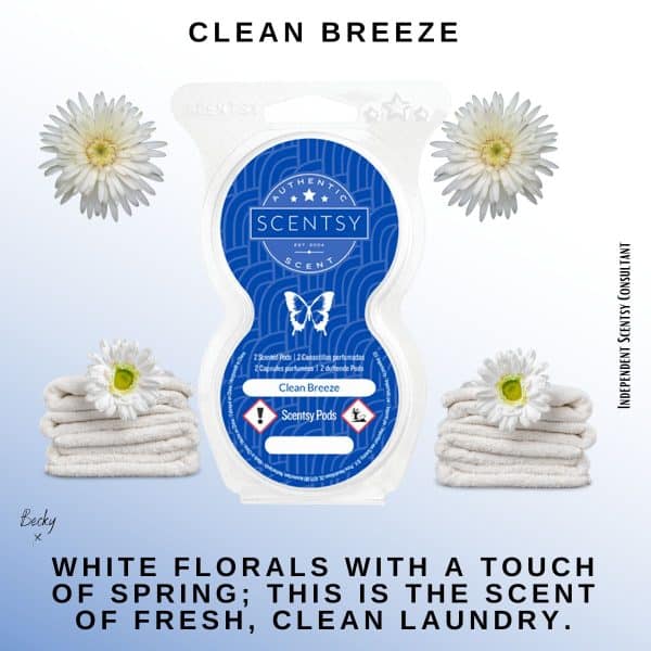 Clean Breeze Scentsy Pod Twin Pack