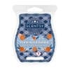 Homestead Holiday Scentsy Bar