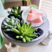 Little Garden Scentsy Warmer