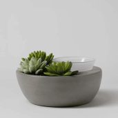 Little Garden Scentsy Warmer