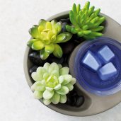 Little Garden Scentsy Warmer