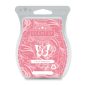 Love & Happiness Scentsy Bar