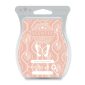 Sweet Cream Spice Scentsy Bar