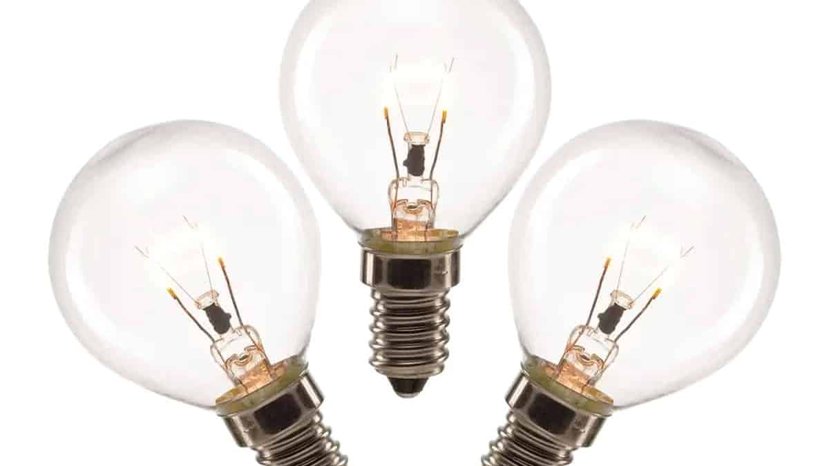 20 watt fancy globe bulb store