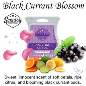 Black Currant Blossom Scentsy Bar