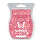 Black Currant Bubbly Scentsy Bar