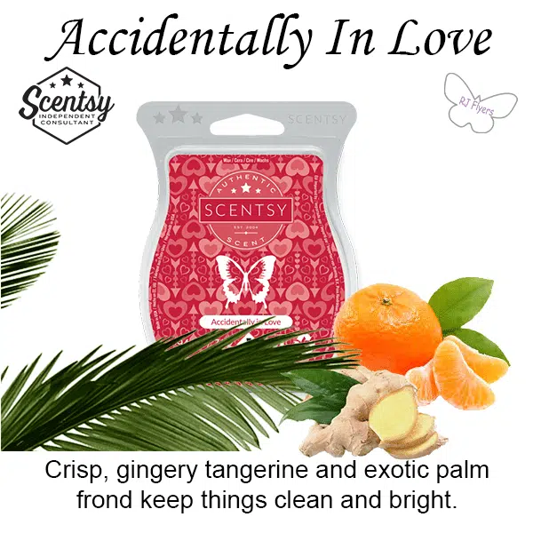Accidentally in Love Scentsy Bar - The Candle Boutique - Scentsy UK ...