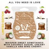 All You Need Is Love Scentsy Bar Styled