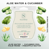 Aloe Water & Cucumber Scentsy Wax Bar