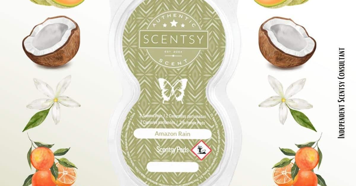 Amazon Rain Scentsy Pod Twin Pack The Candle Boutique Scentsy UK