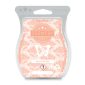 Apricot Vanilla Scentsy Bar