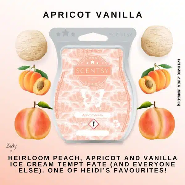 Apricot Vanilla Scentsy Bar