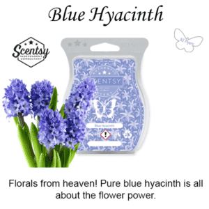 Blue Hyacinth Scentsy Bar
