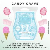 Candy Crave Scentsy Bar