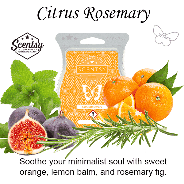 Citrus Rosemary Scentsy Bar
