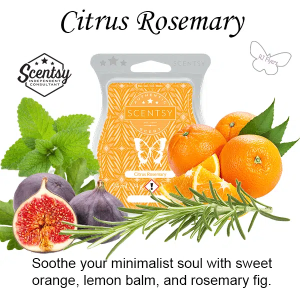 Citrus Rosemary Scentsy Bar