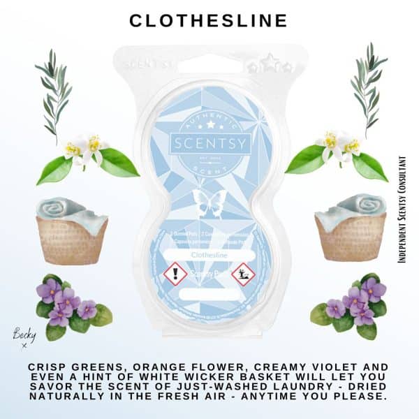 Clothesline-Scentsy-Pods