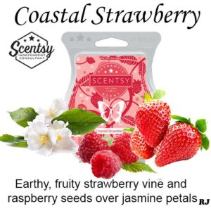 Scentsy Coastal Strawberry Wax Melt
