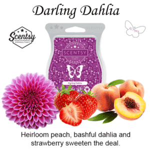 Darling Dahlia Scentsy Bar