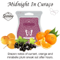 Midnight In Curaco Scentsy Bar