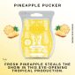 Pineapple Pucker Scentsy Bar