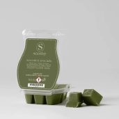 Salt Water & Saffron Scentsy Wax Bar Melt