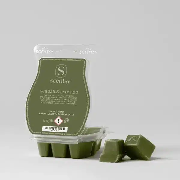 Salt Water & Saffron Scentsy Wax Bar Melt