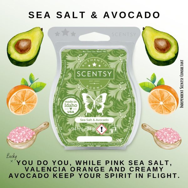 Sea Salt & Avocado Scentsy Bar