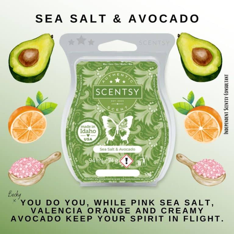 Sea Salt & Avocado Scentsy Bar The Candle Boutique Scentsy UK