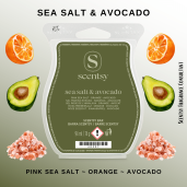 Sea Salt & Avocado Scentsy Wax Bar