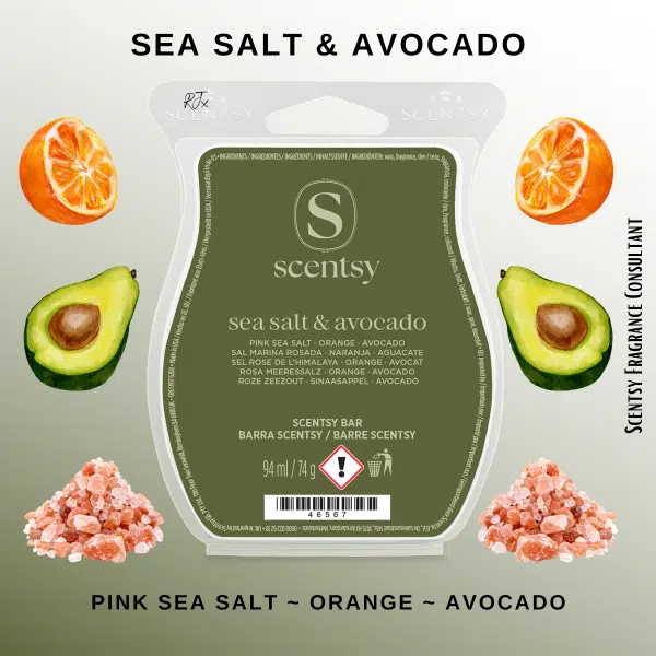Sea Salt & Avocado Scentsy Wax Bar Sea Salt & Avocado Scentsy Wax Bar