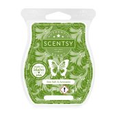 Sea Salt & Avocado Scentsy Wax Bar Melt