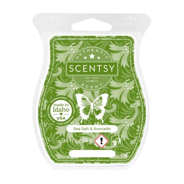Sea Salt & Avocado Scentsy Wax Bar Melt