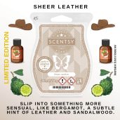 Sheer Leather Scentsy Bar