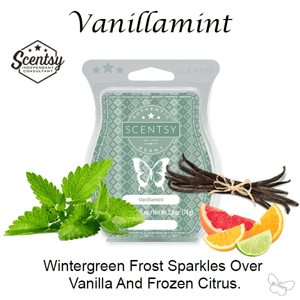 Vanillamint Scentsy Bar The Candle Boutique Scentsy UK Consultant